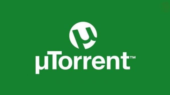 How To Identify Fake Torrent Files Downloads How To Identify Fake Torrent Files Downloads