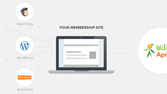 How to Start a Social Club for Profit