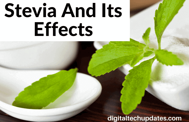 Stevia