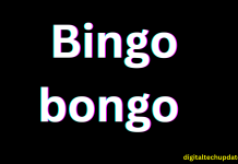 Bingobonga