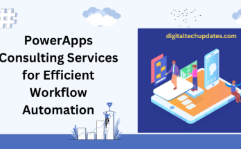 PowerApps Consulting Services