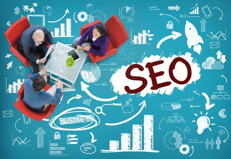 Professional SEO Service