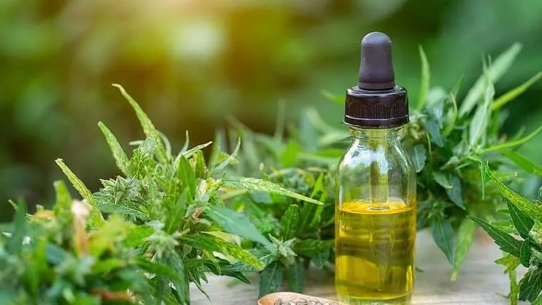 CBD Oil