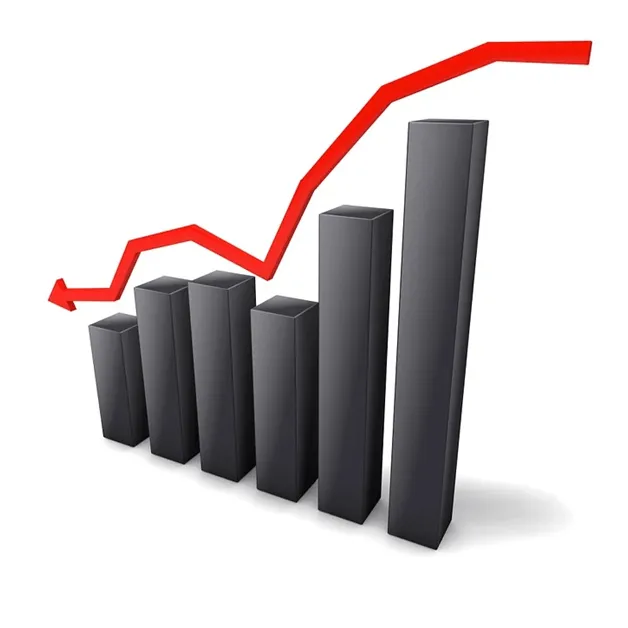 Investor
