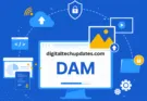 Understanding Physical vs. Digital Asset Management
