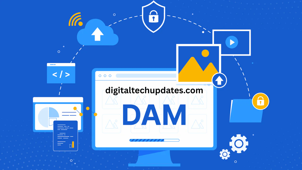 Understanding Physical vs. Digital Asset Management