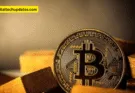 Riser Coin Price: Current Value, Market Trends & Predictions 2025